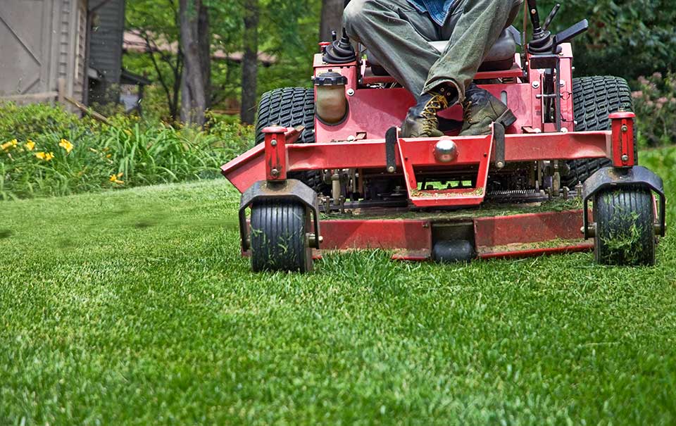 Your Go-To Lawn-Cutting Service for a Picture-Perfect Lawn